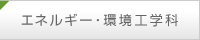 �G�l���M�[�E���H�w��